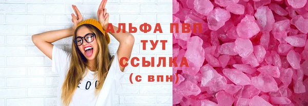 прущие грибы Каменск-Шахтинский