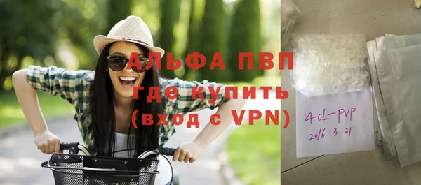 стаф Каменногорск