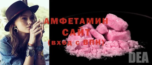 стаф Каменногорск