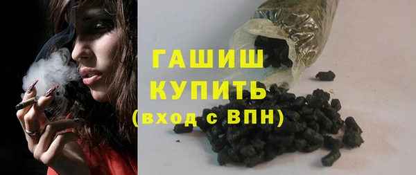 стаф Каменногорск