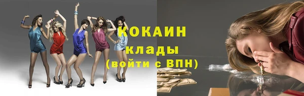 стаф Каменногорск