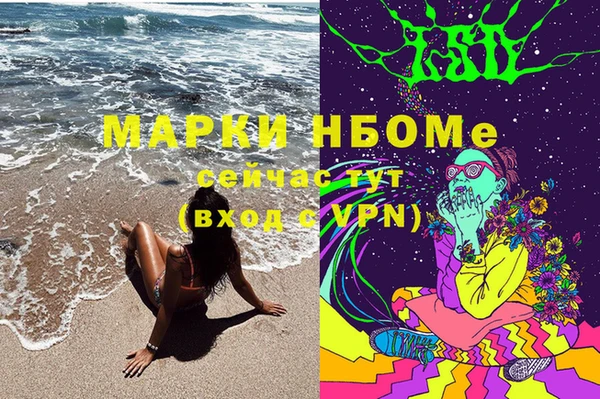 стаф Каменногорск