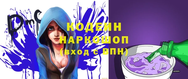 прущие грибы Каменск-Шахтинский