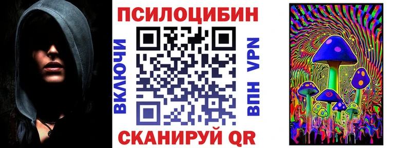 где купить наркоту  Ленинградская  Псилоцибиновые грибы мицелий 